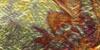 Variegated Red Leaf 륿סߣե 
