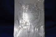 ͢ʥڥȡ֥饷ƥץ졼ȥƥץ졼ȡʥڥȡˡTIGERȥ ƥץ졼ȤΥڡ