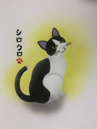 ëŹꥸʥ뾦ʡͤƥ󡡰谷ڥȡ֥饷Ρͭ²ҾëŹ