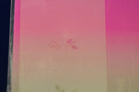 ͥȴġͥ륹ƥ󥷥ʥ֥饷ˡΣӡݣӣģμ̿