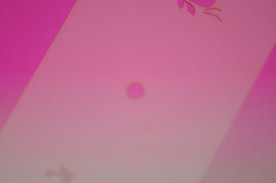 ͥȴġͥ륹ƥ󥷥ʥ֥饷ˡΣӡݣӣģμ̿