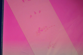 ͥȴġͥ륹ƥ󥷥ʥ֥饷ˡΣӡݣӣģμ̿