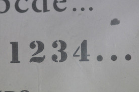 ͥȴġܥǥƥ󥷥ʥܥǥȥ֥饷ˡΣ£361μ̿