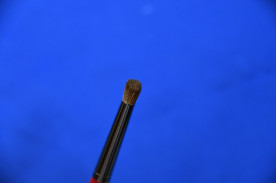 ץ롼üɮ¾꡼
