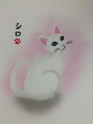 ëŹꥸʥƥץ졼Ȥͤƥ󡡰ǭѡץڥ