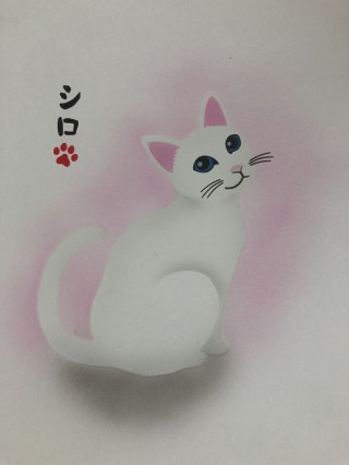 ͭ²ҾëŹ֥饷ѥƥץ졼ȡͤƥ