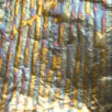 ͥ꡼ե꡼ͥ꡼ե꡼VAL13VariegatedBlue-StreakLeaf꡼ե֥ååȤΥڡǤ