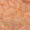 ͥ꡼ե꡼VAL10Variegatedң䡡MorphLeaf꡼ե֥åå