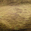 ͥ꡼ե꡼VAL18VariegatedtarnishiedBrassLeaf꡼ե֥åå