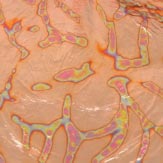 ͥ꡼ե꡼VAL10Variegatedң䡡MorphLeaf꡼ե֥åå