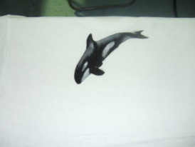ͥIwataƥ륫顼֥åHPA-TC120