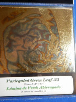 ͥ꡼ե꡼Variegated Green Leaf꡼եѥå