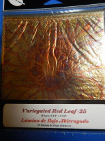 ͥ꡼ե꡼Variegated Red Leaf꡼եѥå