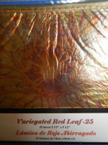 ͥ꡼ե꡼Variegated Red Leaf꡼եѥå