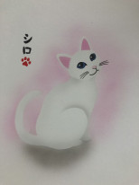 ëŹץ롼ꥸʥ롡֥饷ڥȡƥץ졼ȡͤƥ󡡰