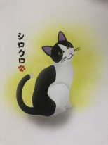 ëŹץ롼ꥸʥ롡֥饷ڥȡƥץ졼ȡͤƥ󡡰