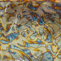 ͥ꡼ե꡼VAL01Variegated ƣ£ Leaf꡼ե֥åå