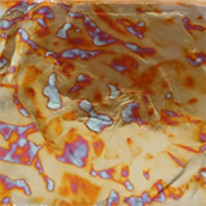 ͥ꡼ե꡼VAL02Variegated Red Leaf꡼ե֥åå