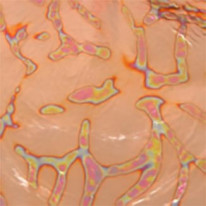 ͥ꡼ե꡼VAL10Variegatedң䡡MorphLeaf꡼ե֥åå
