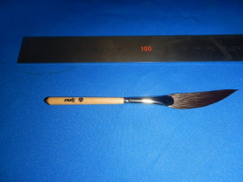 �ԥ󥹥ȥ饤�ԥ󥰥֥饷��2026ǯ�����ɮ���ңӹ�