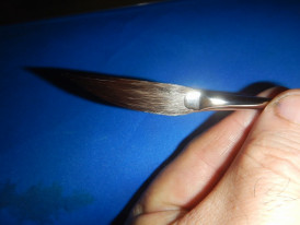 �ԥ󥹥ȥ饤�ԥ󥰥֥饷��2026ǯ�����ɮ���ңӹ�