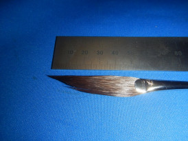 �ԥ󥹥ȥ饤�ԥ󥰥֥饷��2026ǯ�����ɮ���ҹ�