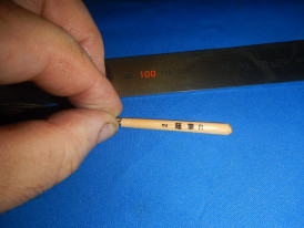 �ԥ󥹥ȥ饤�ԥ󥰥֥饷��2026ǯ�����ɮ���ҹ�