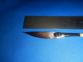 �ԥ󥹥ȥ饤�ԥ󥰥֥饷��2026ǯ�����ɮ���ңӹ�