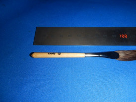 �ԥ󥹥ȥ饤�ԥ󥰥֥饷��2026ǯ�����ɮ���ңӹ�